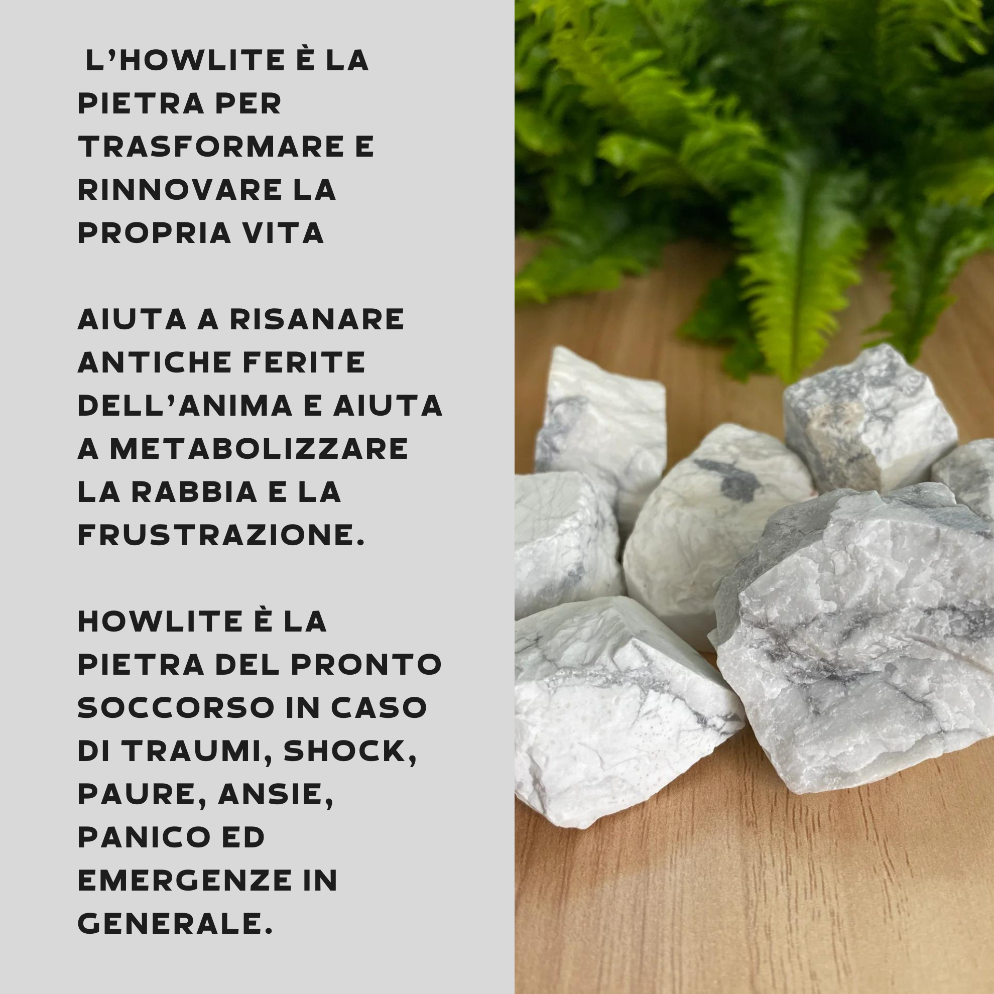 Howlite Grezza Origine Zimbabwe - Pietra da 4-7cm