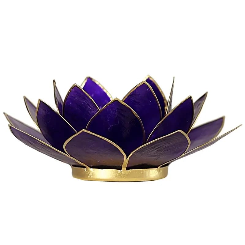 Lotus atmosphere lighting in Conchiglia Lapiz 7 Chakra - Purple Portalumino