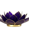 Lotus atmosphere lighting in Conchiglia Lapiz 7 Chakra - Purple Portalumino