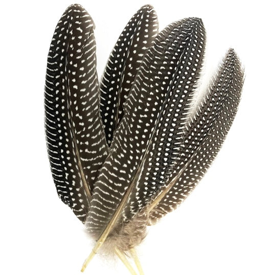 Energy cleaning feather for smoke - 20-25cm