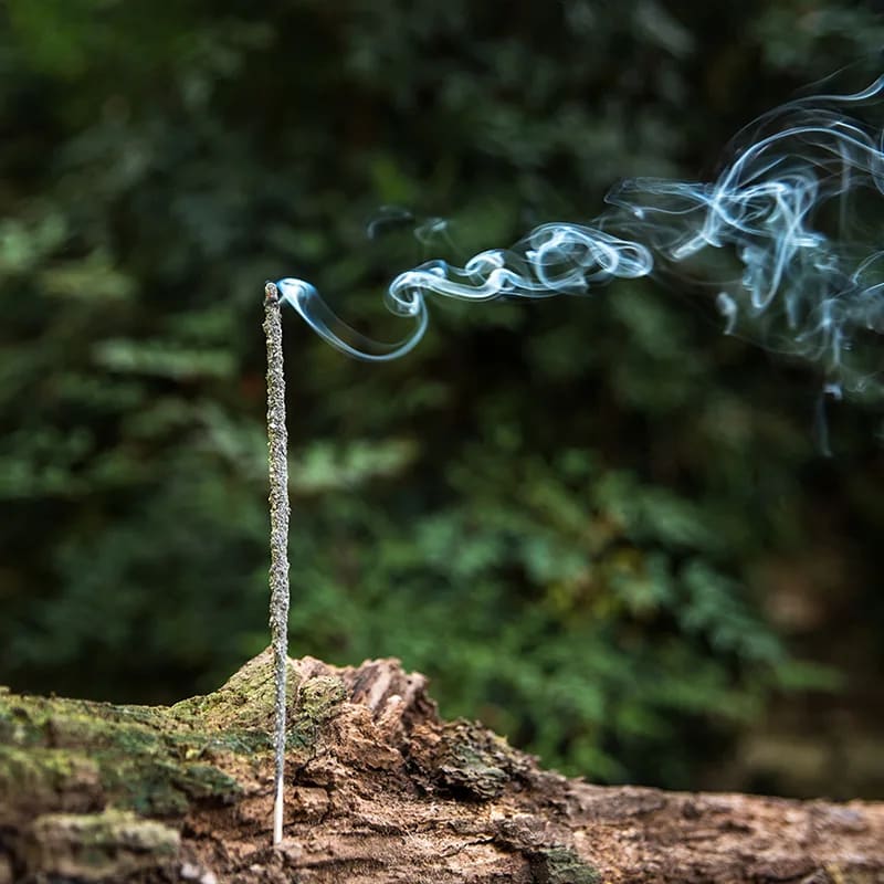 Sagrada Madre Copal Incenso botanico in bastoncini - Copale