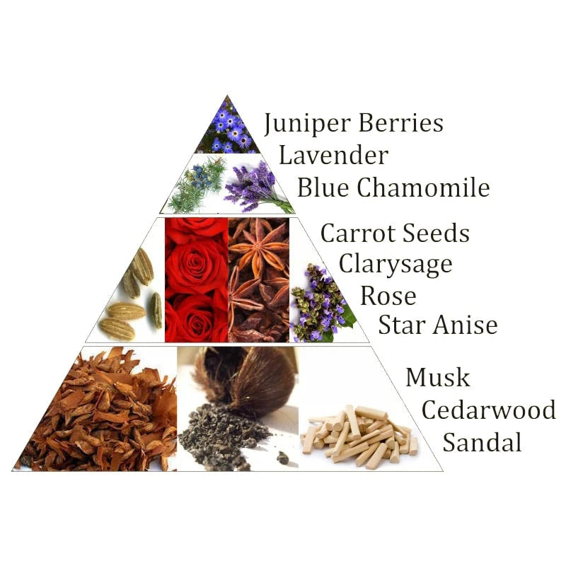 Aromafume Ajna 6 Chakra del Terzo Occhio - Mattoncini Incenso 7 Chakra - 9 bricks - clorophilla-shop