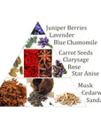 Aromafume Ajna 6 Chakra del Terzo Occhio - Mattoncini Incenso 7 Chakra - 9 bricks - clorophilla-shop