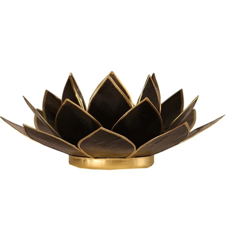 Lotus atmosphere lighting in Conchiglia Lapiz - Black Portalumino