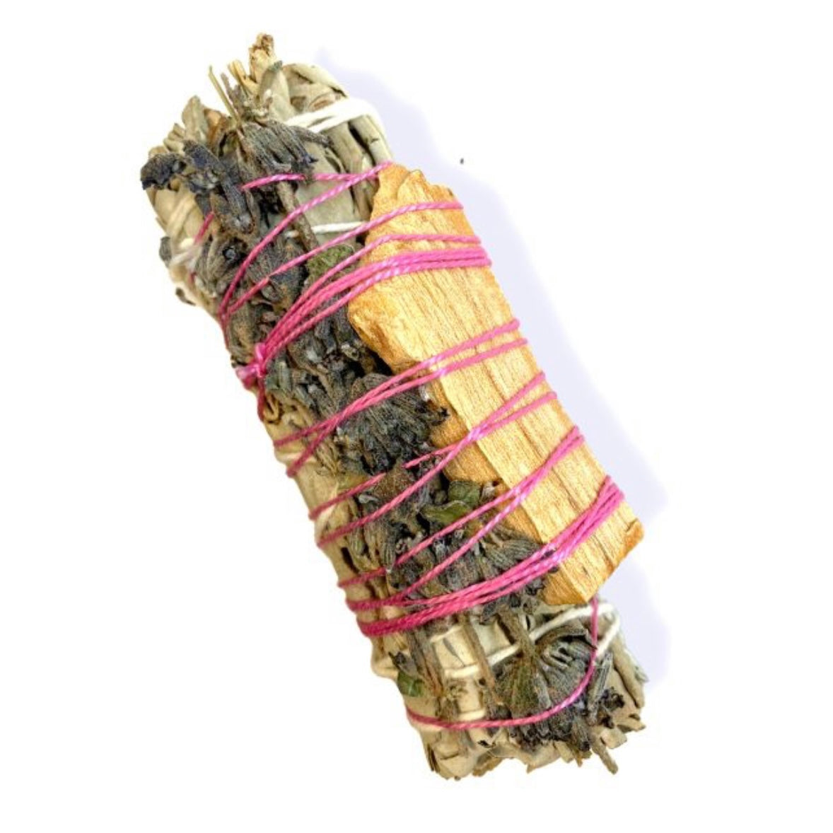 Erba Di Incenso Pagano - Italia - Foto 10