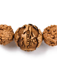 Rudraksha seed bracelet, mantra, lotus and dragon engravings