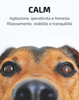 SAMSARA - Incenso in Bastoncini Per Animali Fatto a Mano 100% Naturale, Relax e Iperattività di Amici a 4 Zampe - Aromaterapia per animali - 15gr (CALM)