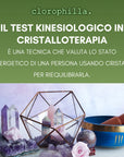 KIT "Trova la tua Pietra" - Set completo per test kinesiologico cristalloterapia | Confezione Regalo, Palo Santo, Adesivi e Guida