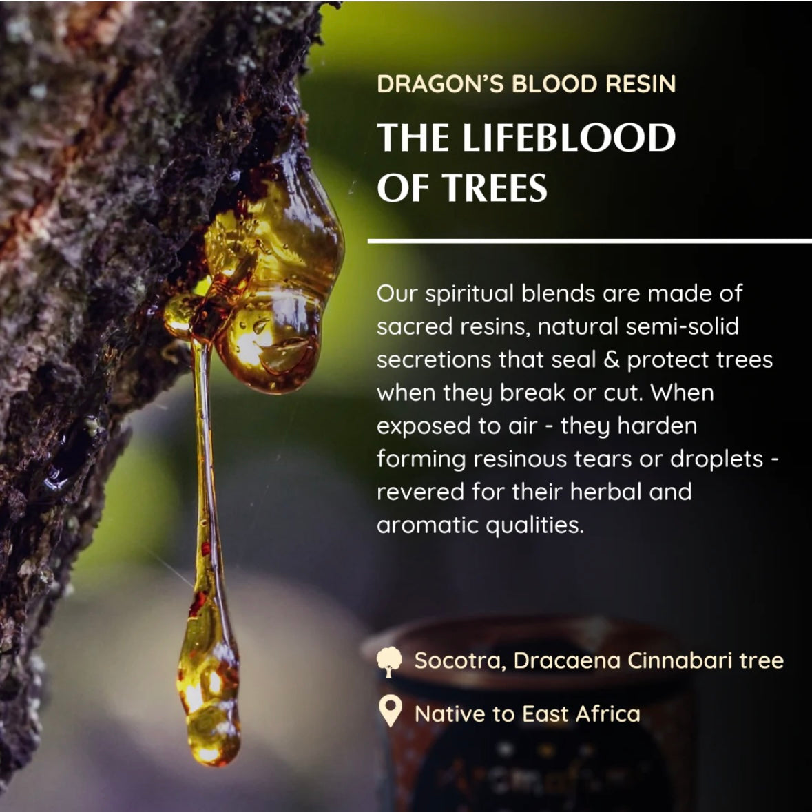 Aromafume Dragons Blood Mattoncini Incenso - Niente fumo e cenere