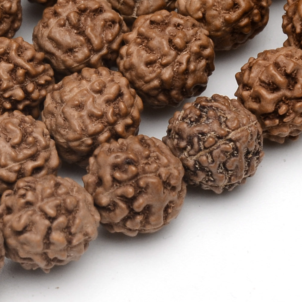 Collana Mala elastica Buddhista in Rudraksha