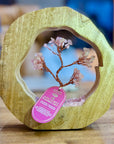 ALBERO IN QUARZO ROSA CON ANELLO IN MANGO - Amore e armonia