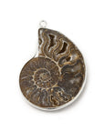 Necklace with downtown pendant - energy fossil