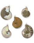 Necklace with downtown pendant - energy fossil