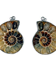 Collana con ciondolo in Ammonite - Fossile Energetico - clorophilla-shop