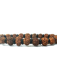 Clorophilla | Bracciale in Pietre Naturali RUDRAKSHA | 2 Misure | Cristalloterapia, Reiki, Yoga | Confezione Regalo, Tagliandino Pietra e Palo Santo per la Purificazione