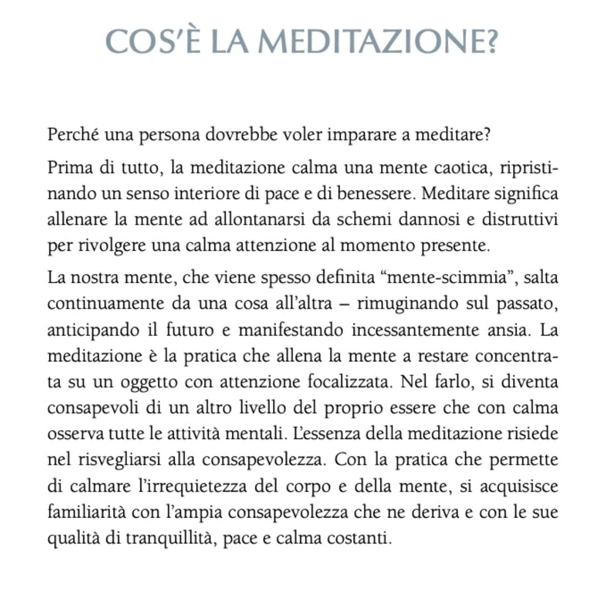 Libro "Il Piccolo Libro della Meditazione" David Pond - Tecniche meditative - Clorophilla Shop