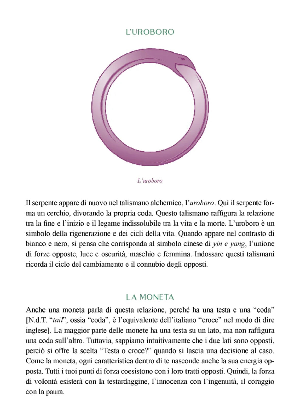 Libro "La natura della Strega" - Magia e stregoneria nel XXI secolo - Clorophilla Shop