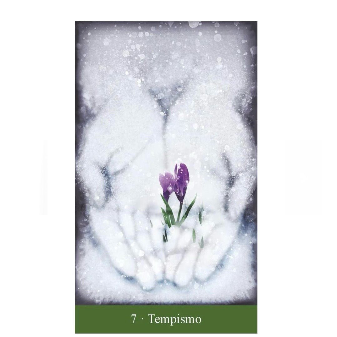 Lo Scarabeo "I tarocchi del Divino Femminile" kit - 78 carte con libro - Clorophilla Shop