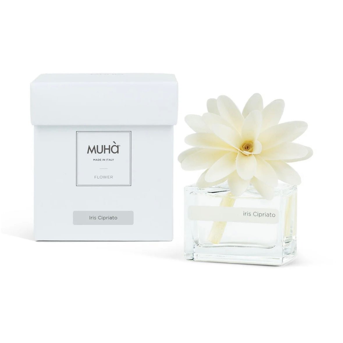 MUHÀ Flower Diffuser Profumatore d'ambiente con fiore - Iris Cipriato - Clorophilla Shop