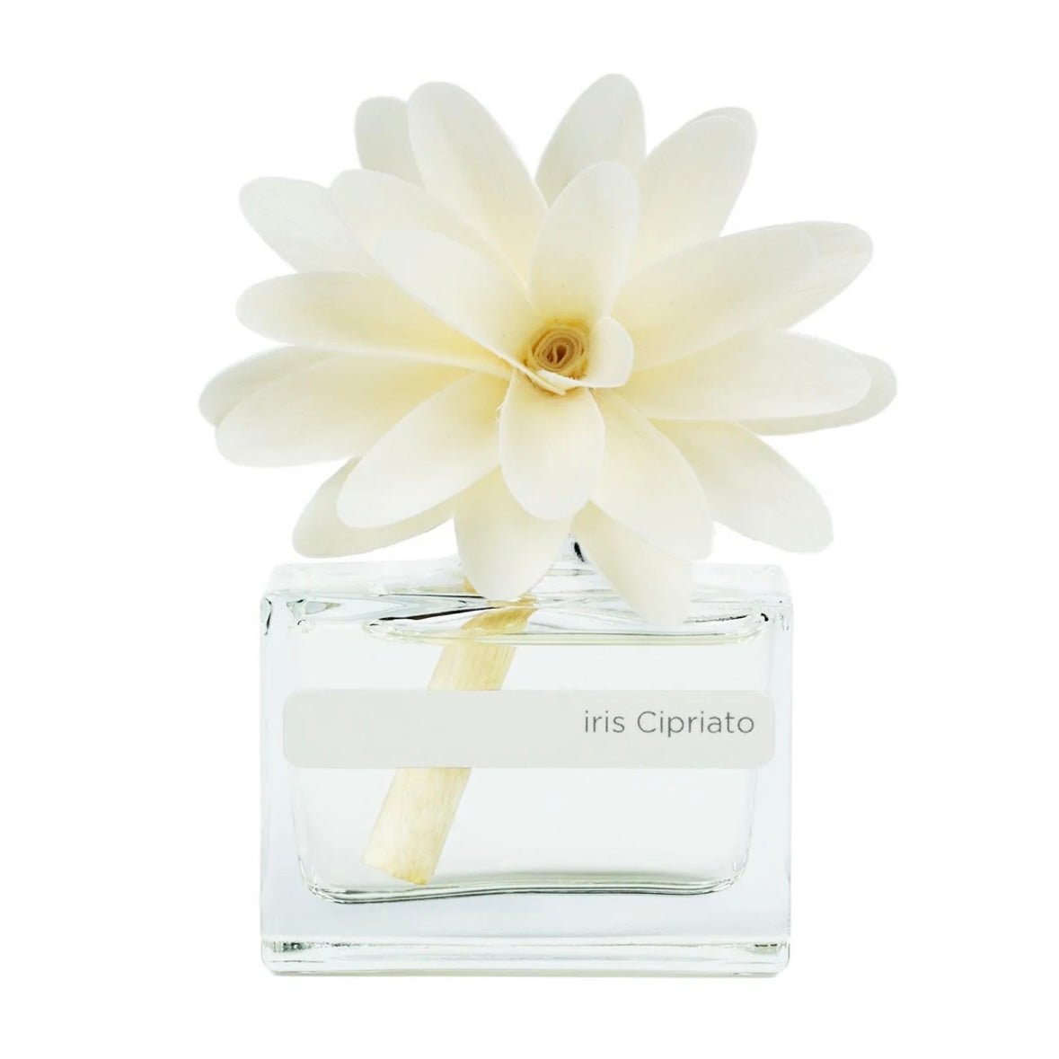 MUHÀ Flower Diffuser Profumatore d'ambiente con fiore - Iris Cipriato - Clorophilla Shop