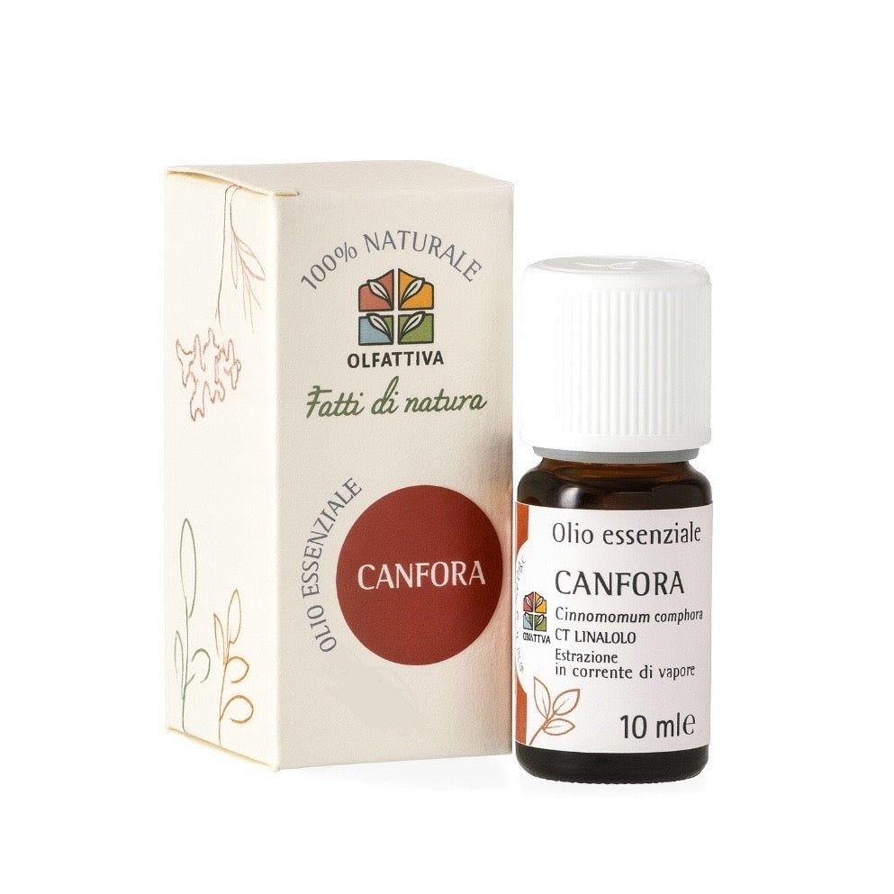 OLFATTIVA OLIO ESSENZIALE CANFORA - Energia, dinamismo e intraprendenza - Clorophilla Shop