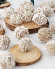 Rosa del Deserto pietra - Chiarezza mentale, radicamento e protezione - Clorophilla Shop