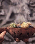 Sagrada Madre BOMBITA Smudge di Erbe naturali artigianali - Benzoino e Muschio - Clorophilla Shop
