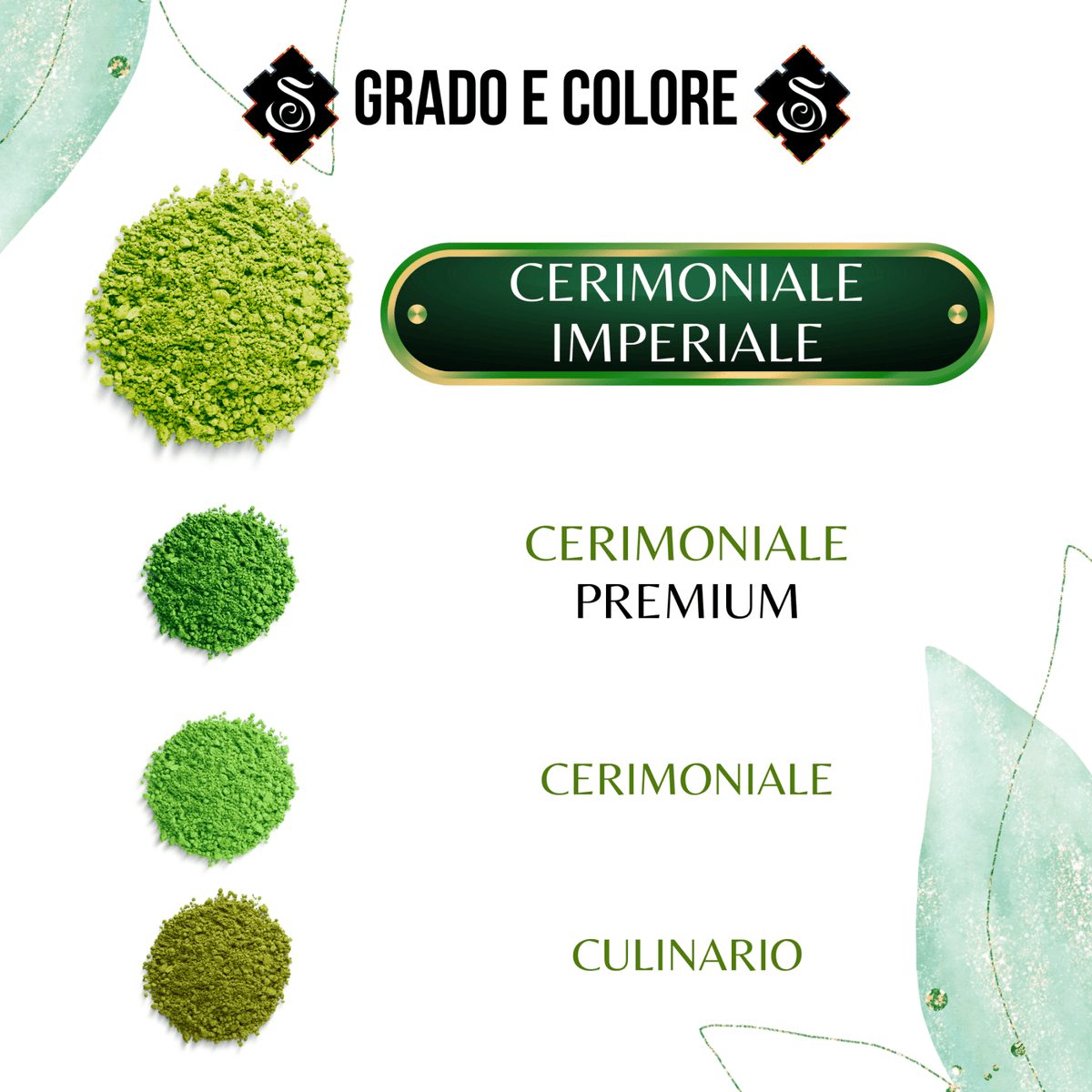SAMSARA - Matcha Cerimoniale Grado Imperiale, YAME Fukuoka. Raccolta manuale, macinatura pietra, no vapore, EGCG testato, e-guida, 25g - Clorophilla Shop