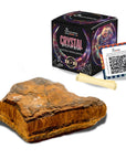 SAMSARA - OCCHIO DI TIGRE Pietra Grezza Naturale con Confezione Regalo e Foglietto Informativo - Clorophilla Shop