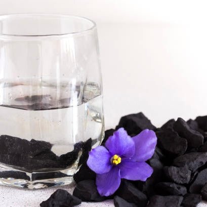 Shungite Grezza Origine Russia - Protezione onde elettromagnetiche e purificatore acqua detox - sacchetto 50g - Clorophilla Shop
