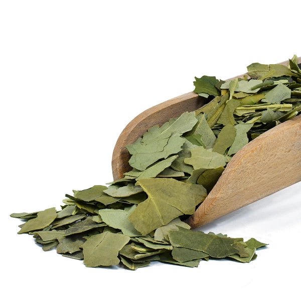 VERDE MATE GREEN PREMIUM YERBA MATE - Pure Despalada - Clorophilla Shop