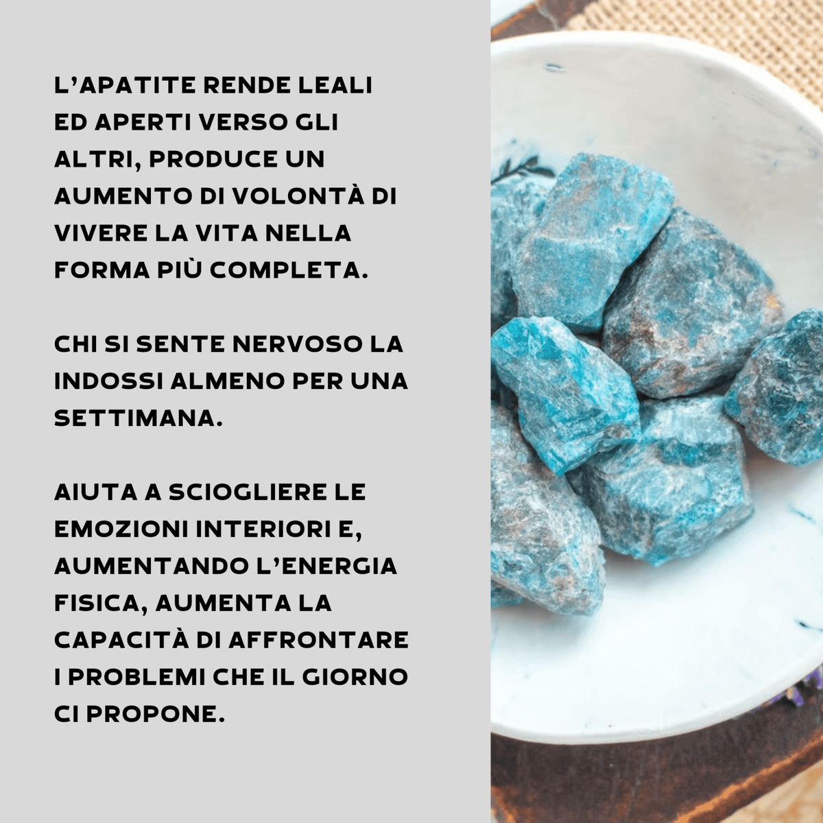 APATITE GREZZA - Estroversione e focalizzazione - Clorophilla Shop