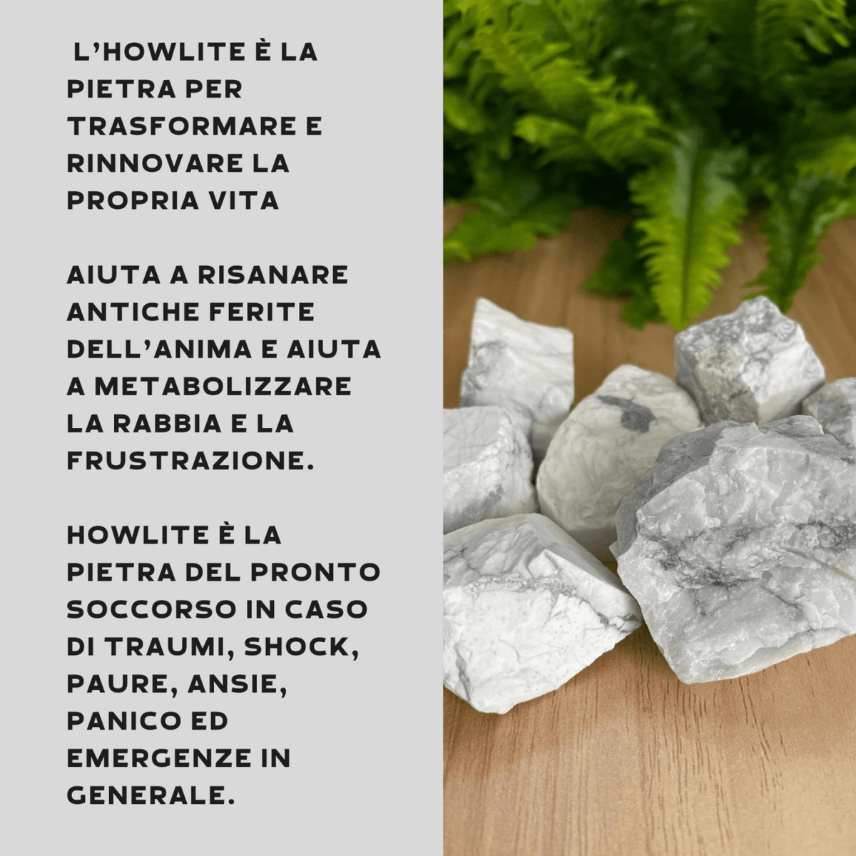 Howlite Grezza Origine Zimbabwe - Pietra da 4-7cm - Clorophilla Shop