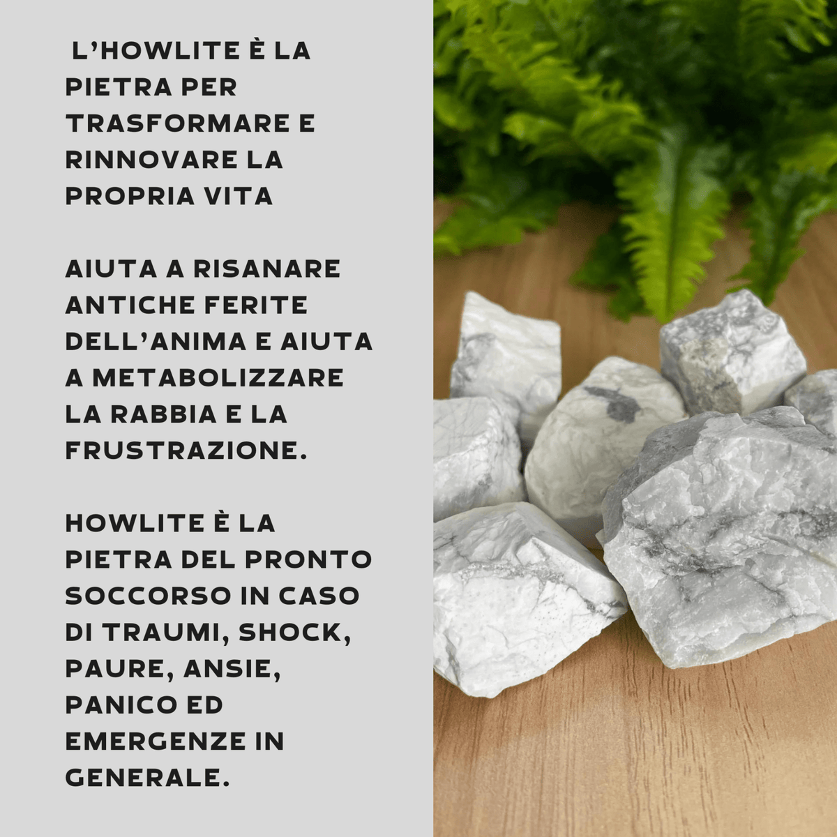 Howlite Grezza Origine Zimbabwe - Pietra da 4-7cm - Clorophilla Shop