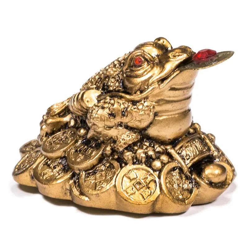 Rana Feng Shui Portafortuna con Moneta - Poliresina - Clorophilla Shop